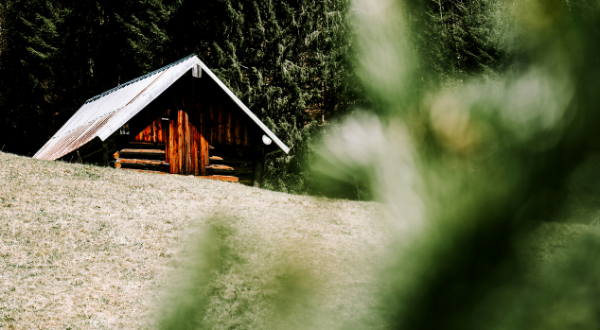 Picture of a wooden cabin in a forest.